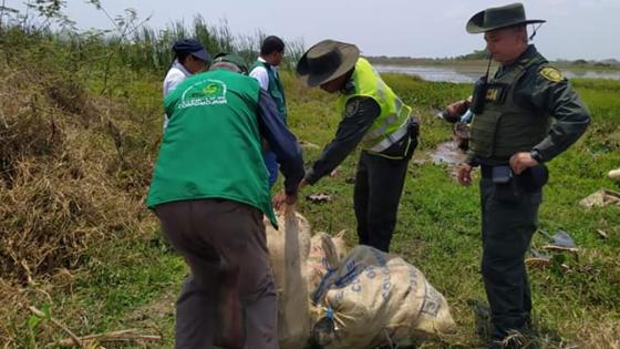 operativo-contra-tráfico-de-fauna