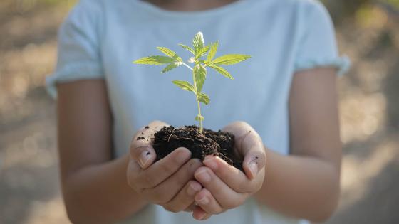 propuestas-cuidado-planeta propuestas-cuidado-planeta