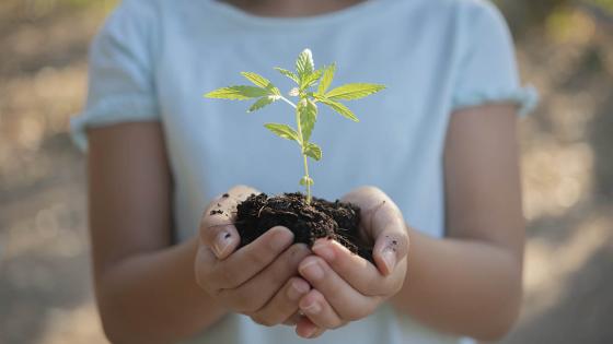 propuestas-cuidado-planeta 