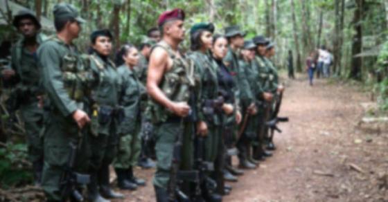 Disidentes de las Farc