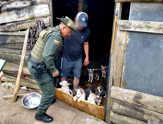 Perros Rionegro incendio noticias Antioquia 