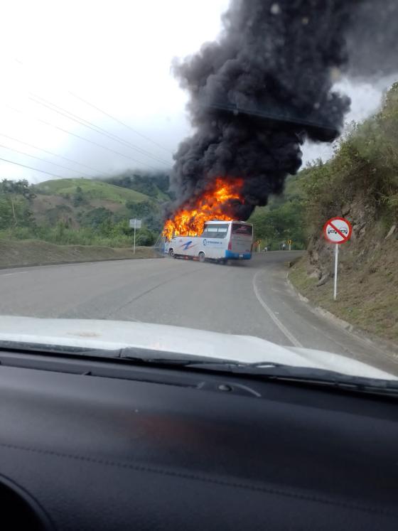 bus cañas gordas bus cañas gordas