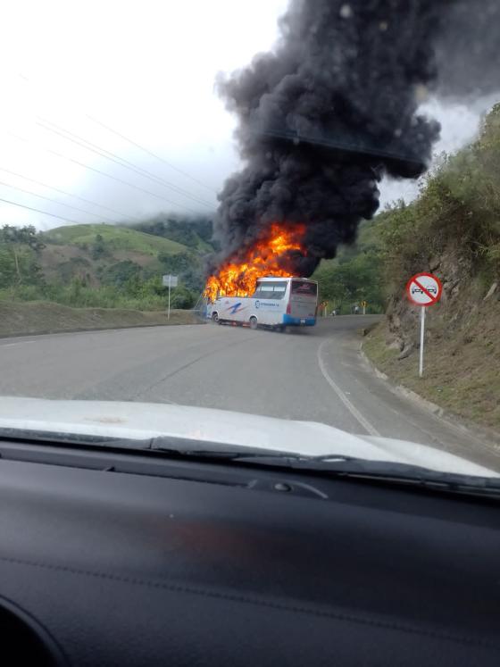 bus cañas gordas