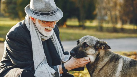 Razas de perros para adultos mayores