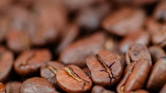 café Colombia precio noticias cultivos