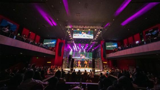 Peleas profesionales de artes marciales mixtas regresan al Royal Center Peleas profesionales de artes marciales mixtas regresan al Royal Center