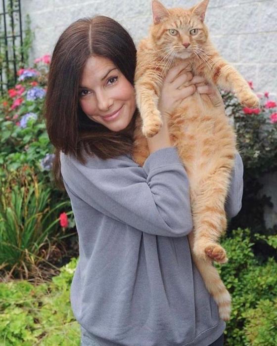 sandra-bullock sandra-bullock