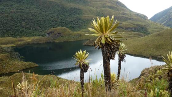 Tenerife Tenerife