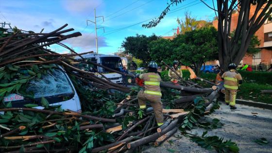 Bus escolar resultó aplastado por caída de árbol en Bogotá 