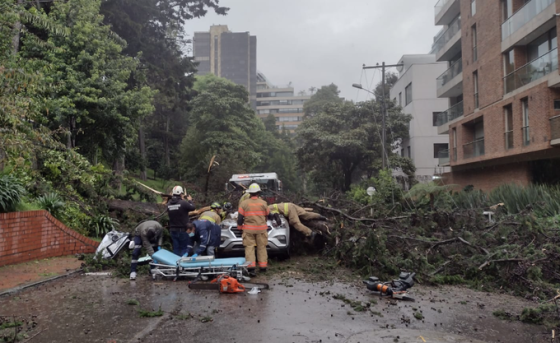 Emergencia al norte de Bogotá tras caída de árbol Emergencia al norte de Bogotá tras caída de árbol