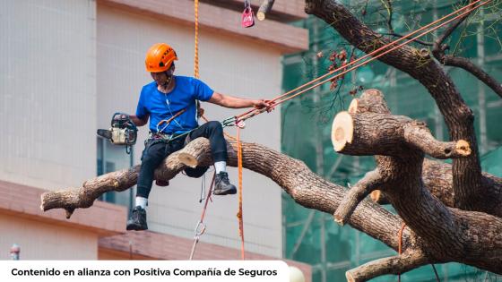 ¡Cuidado con las "afiliaciones de poste"! conozca cómo afiliarse legalmente