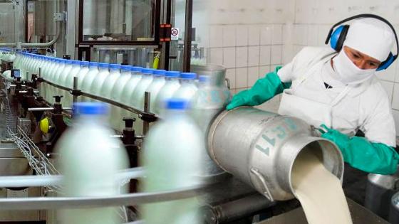 SIC-investigará-a-cuatro-empresas-de-leche SIC-investigará-a-cuatro-empresas-de-leche