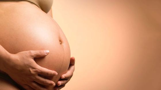 sitio web para tener bebes sitio web para tener bebes