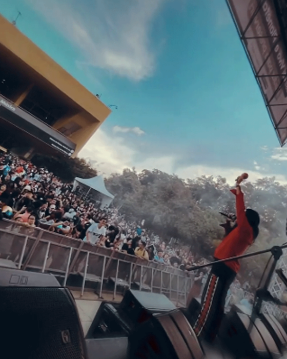 @festivalvivaelplaneta