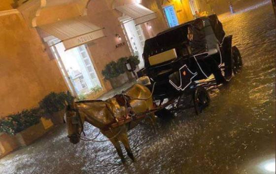 caballo cochero cartagena noticias lluvia inundación