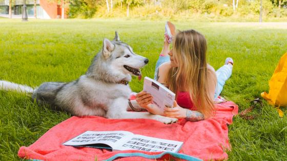 Día Mundial del Perro
