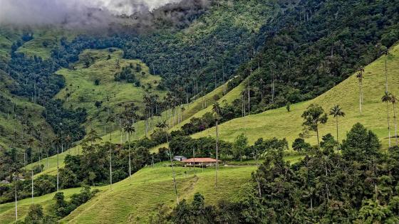 vision-colombia-2050-hoja-de-ruta-desarrollo-estrategico vision-colombia-2050-hoja-de-ruta-desarrollo-estrategico