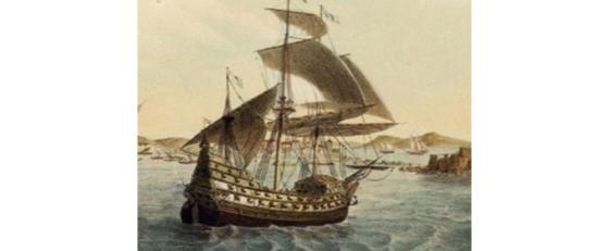 navio navio