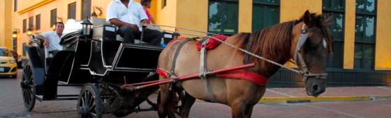 Coche Cartagena 