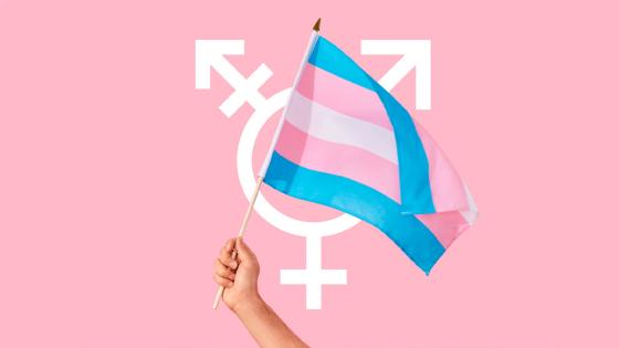 Trans más famosas de Colombia Trans más famosas de Colombia
