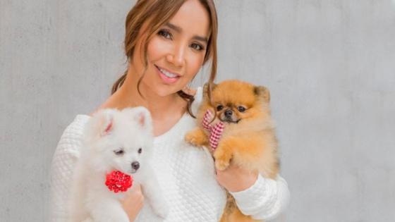 Paola jara pintó a su mascota Paola jara pintó a su mascota