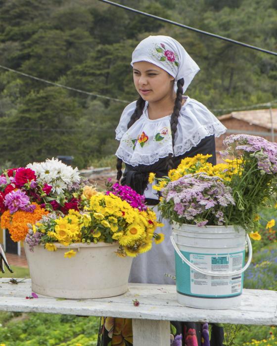 Santa Helena Feria de las Flores Medellin