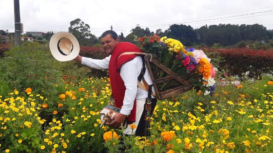 José Zapata José Zapata
