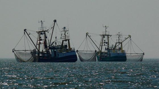 Greenpeace tratado de los oceanos