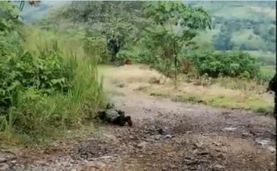 explosivos Catatumbo noticias Colombia Venezuela