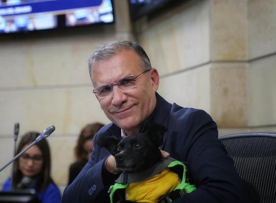 Roy Barreras Congreso Pet Friendly Roy Barreras Congreso Pet Friendly