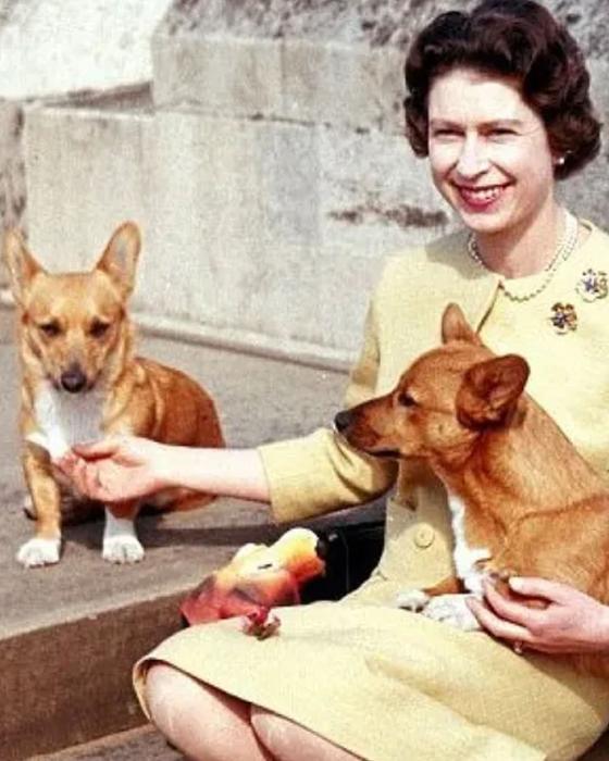 las mascotas de la reina Isabel II