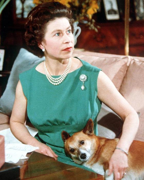 las mascotas de la reina Isabel II las mascotas de la reina Isabel II