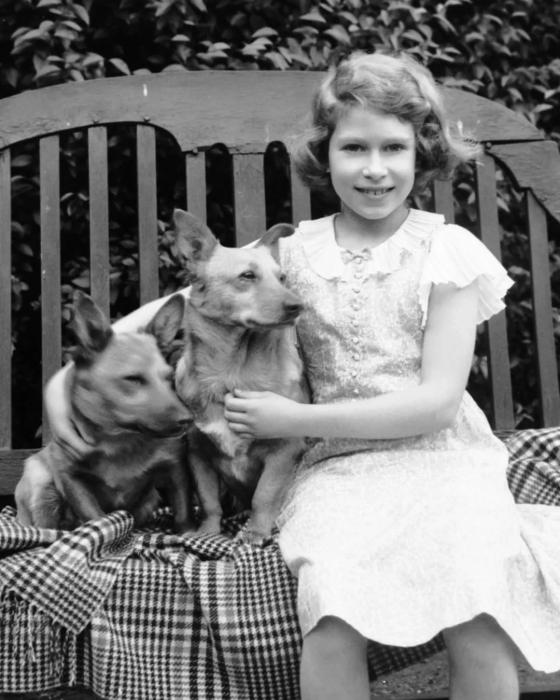 las mascotas de la reina Isabel II