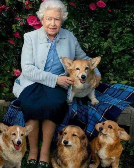 las mascotas de la reina Isabel II