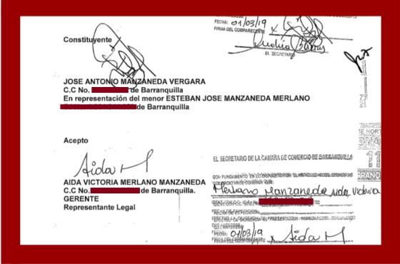 Constituyentes ESAID S.A.S. Constituyentes ESAID S.A.S.