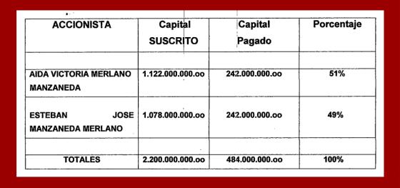 Distribución activos ESAID S.A.S.