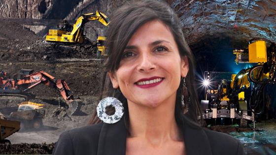 Irene Vélez decrecimiento Irene Vélez decrecimiento