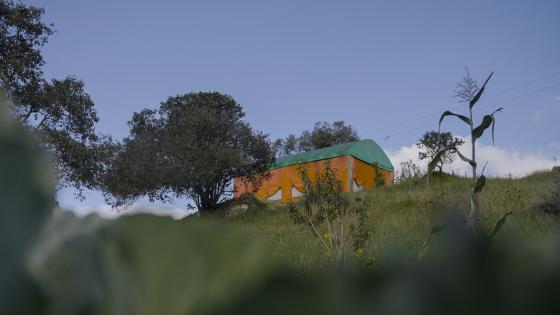 Granja Asocun: la producción de cultura, paz y sostenibilidad alimentaria Granja Asocun: la producción de cultura, paz y sostenibilidad alimentaria