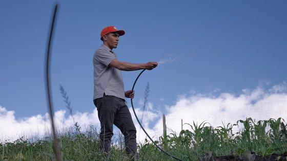Voluntarios asisten a la granja y desarrollan procesos de agricultura Voluntarios asisten a la granja y desarrollan procesos de agricultura