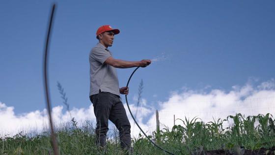 Voluntarios asisten a la granja y desarrollan procesos de agricultura