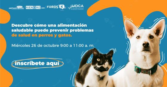 Foro 'MasCoscientes: tendencias en la alimentación de las mascotas'. Foro 'MasCoscientes: tendencias en la alimentación de las mascotas'.