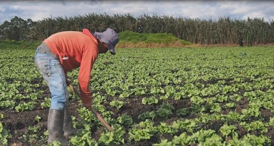Ante la ola invernal, el Banco Agrario fortalece su atención para los afectados Ante la ola invernal, el Banco Agrario fortalece su atención para los afectados