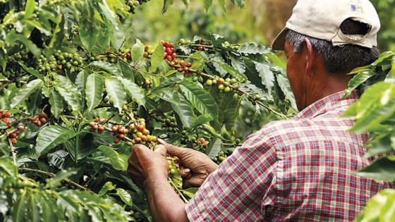 productores-agrícolas