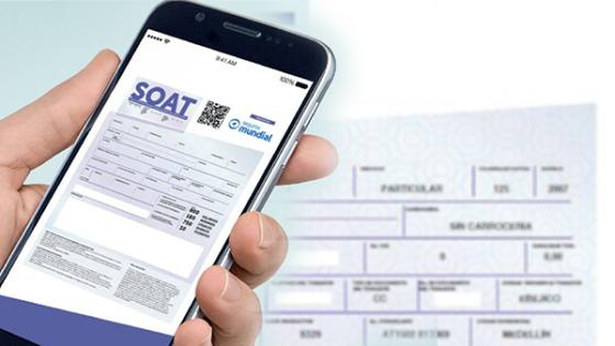 Conductores preocupados por problema en el Soat Conductores preocupados por problema en el Soat