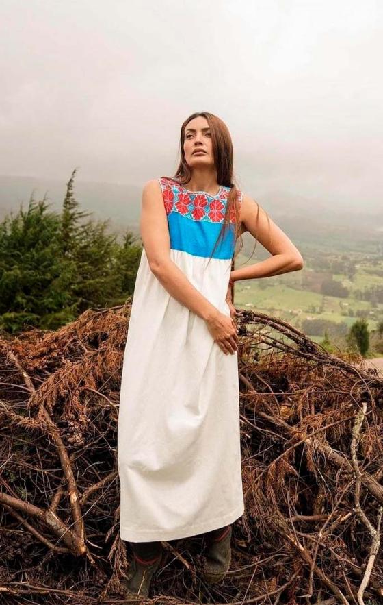 Ana Wills ¿Qué ha pasado con Ana Wills, actriz colombiana?