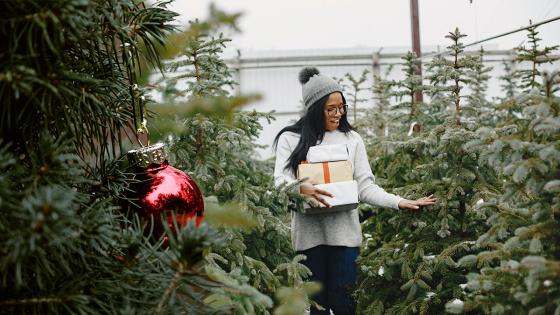 Guía para comprar árbol de navidad