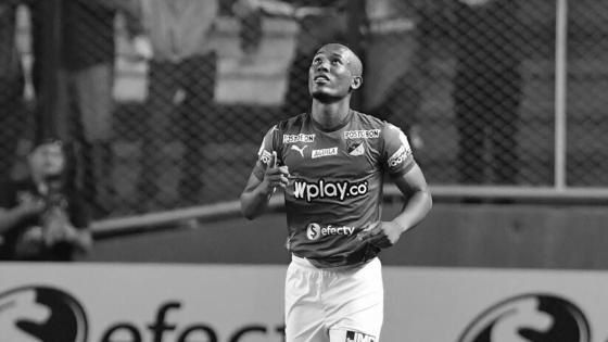 Balanta Balanta