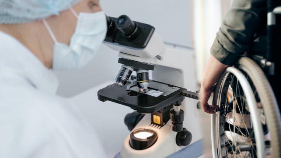neuronas que permiten caminar a parapléjicos neuronas que permiten caminar a parapléjicos