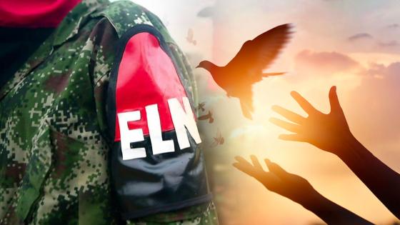 ELN-paz