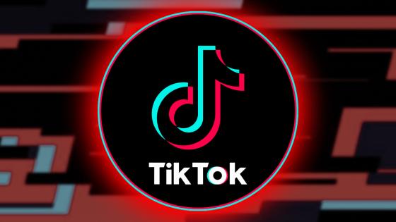 Caída TikTok